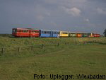 Triebwagenzug auf freier Strecke (Foto: Uplegger, Wiesbaden)